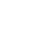 Evil Fire Phoenix
